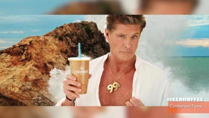 Clerk Injured Chasing David Hasselhoff Sign Thieves