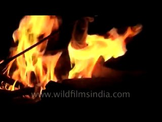 Animal slaughter-DVD-173-2