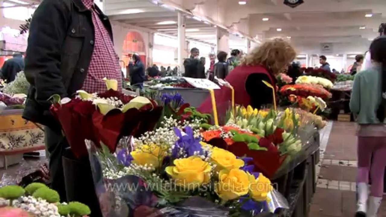 Cannes-tape 1-hdv-607-Flowers-1