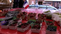 Cannes-tape 1-hdv-607-fruits