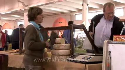 Cannes-tape 1-hdv-607-lavandar-cheese-mushroom