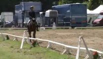 dressage lea