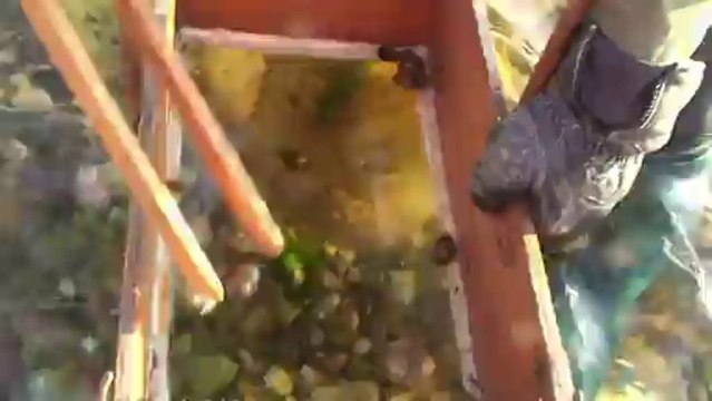 pêche au OURSINS MARS 2012