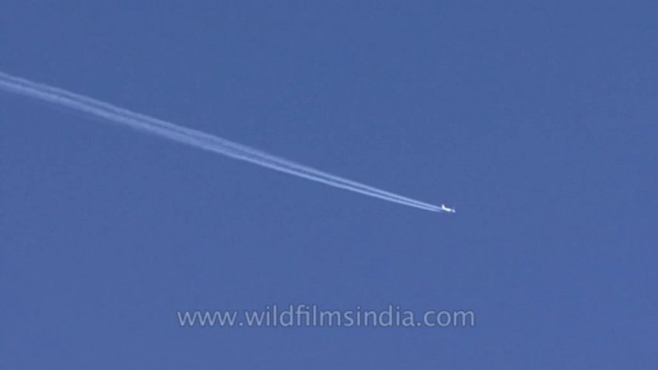 Cannes-tape 1-hdv-609-jet streams