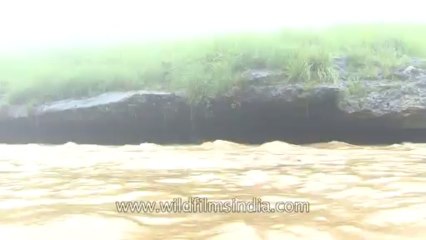 Cherrapunji-HDV-557-Tape-1-3