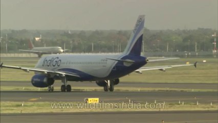 Delhi airport-T3-hdc-tape-6-2