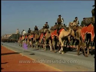 Delhi-Republic day-DVD-151-14