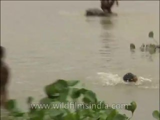 Delhi-Yamuna-Children-DVD-173-2