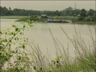 Delhi-Yamuna-DVD-173-3