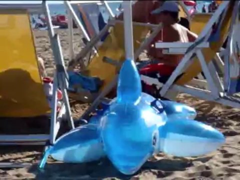 Za sprostitev vsak nekaj zase našel je - BIBIONE 2013 Italia