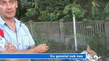 CU GUNOIUL SUB NAS