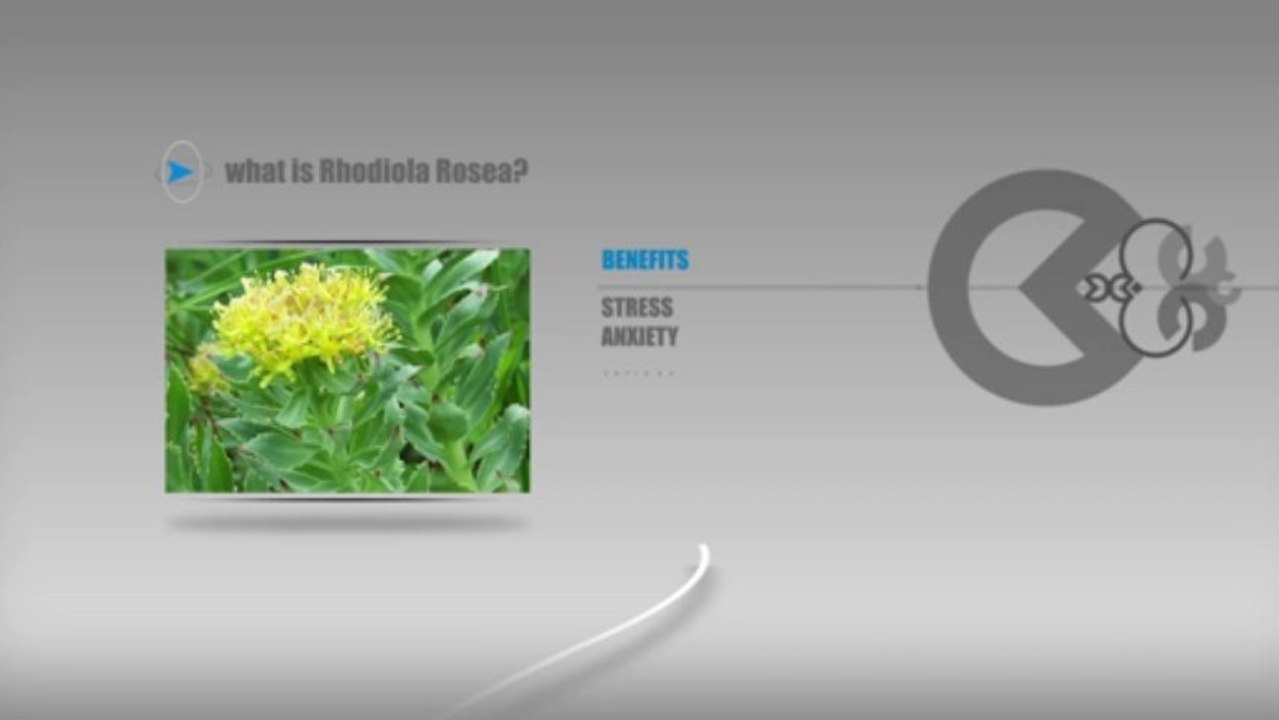 Rhodiola Rosea Reviews - What Do Genuine Buyers Say Regarding The Benefits Of Rhodiola Rosea?