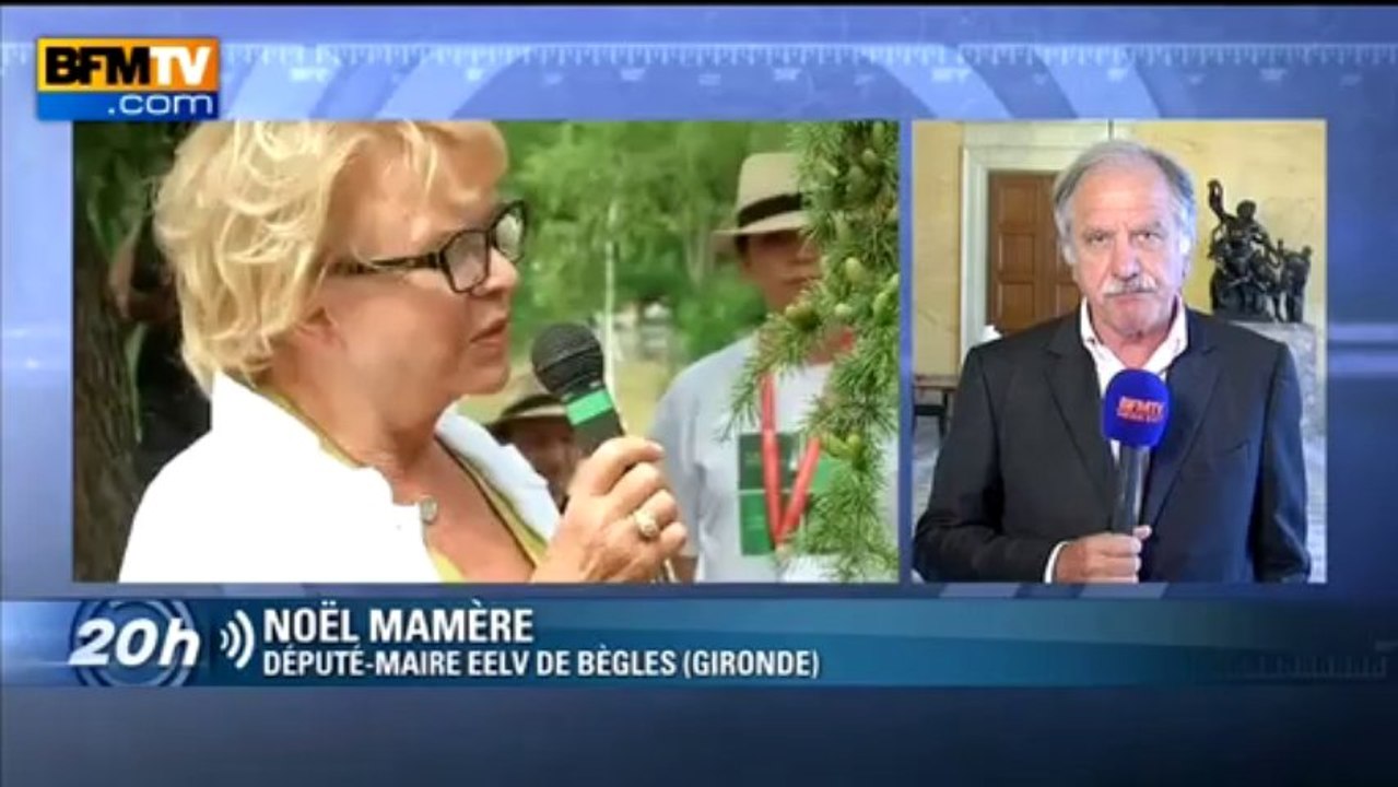 EELV: Noël Mamère n'ira pas aux journées d'été - 21/08