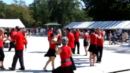 FORUM ASSOCIATIONS 2012 SALSA RUEDA