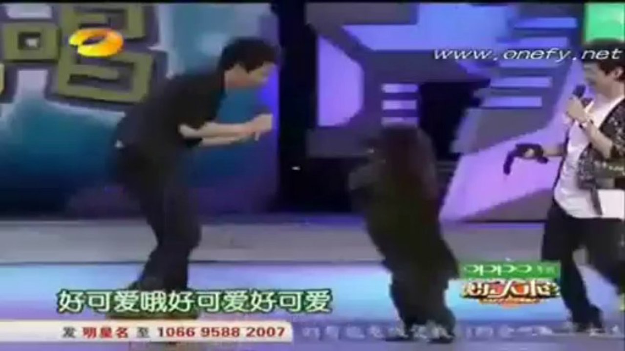 International Wau Wau(?)