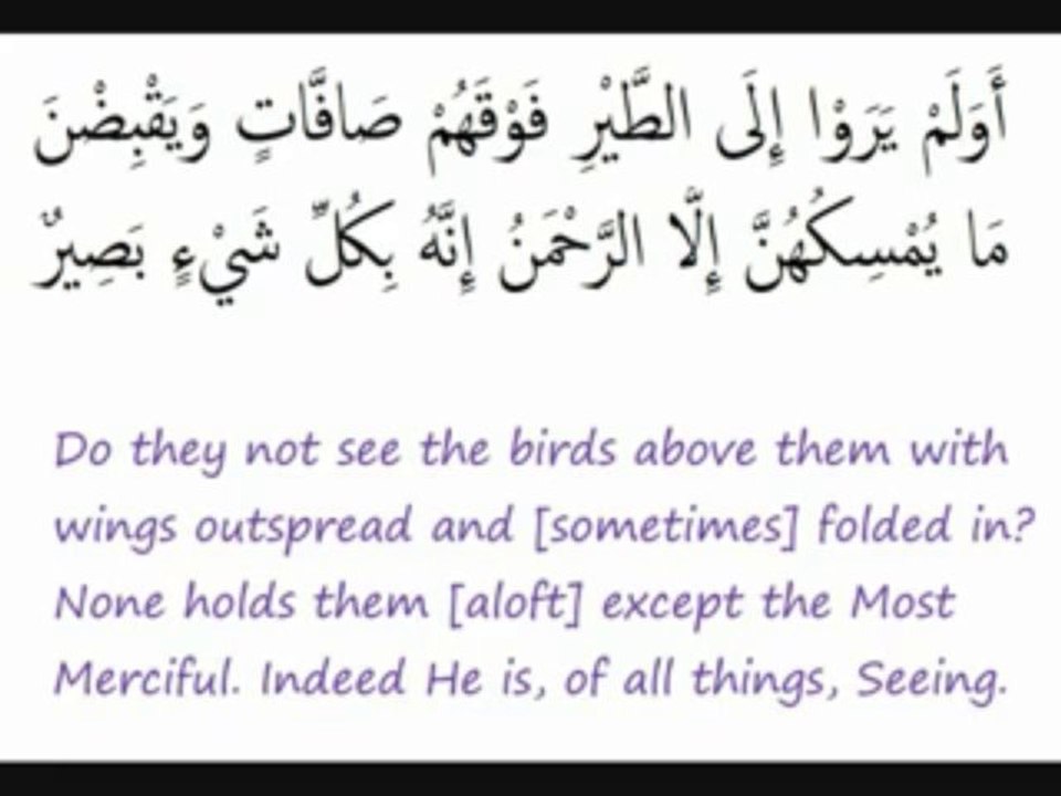 Surat # 67 Al Mulk - The Sovereignty - YouTube