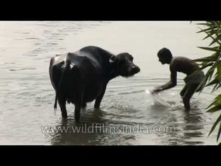 India is still a rural agricultural economy!
