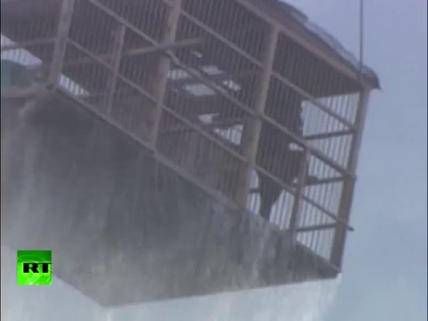 2 ours sauvés de la noyade en russie. Sauvetage par hélicoptère impressionnant.