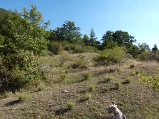 GITE dans les  ALPES de HAUTE PROVENCE.