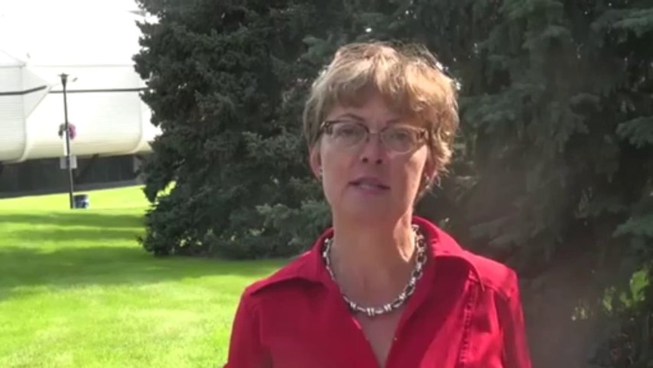 Nita Jalkanen for Edmonton Ward 2 Introduction