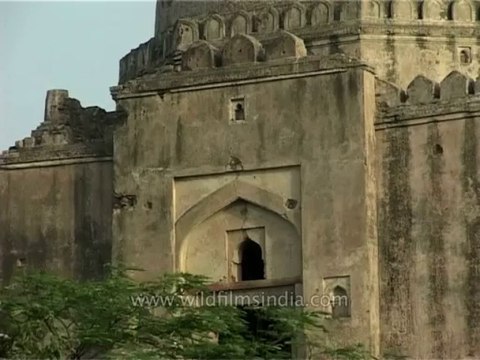 DVD-155-Delhi-monument