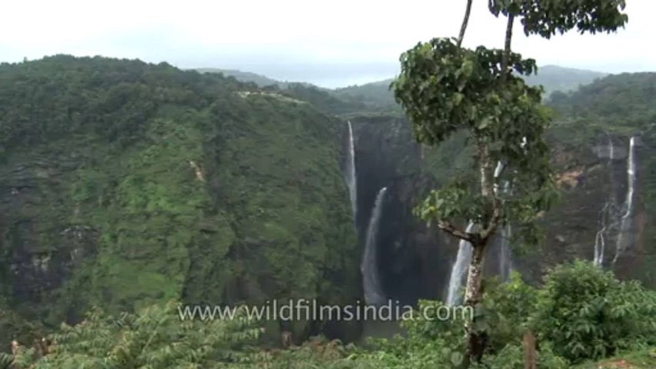 Jog falls-hdv-546-15