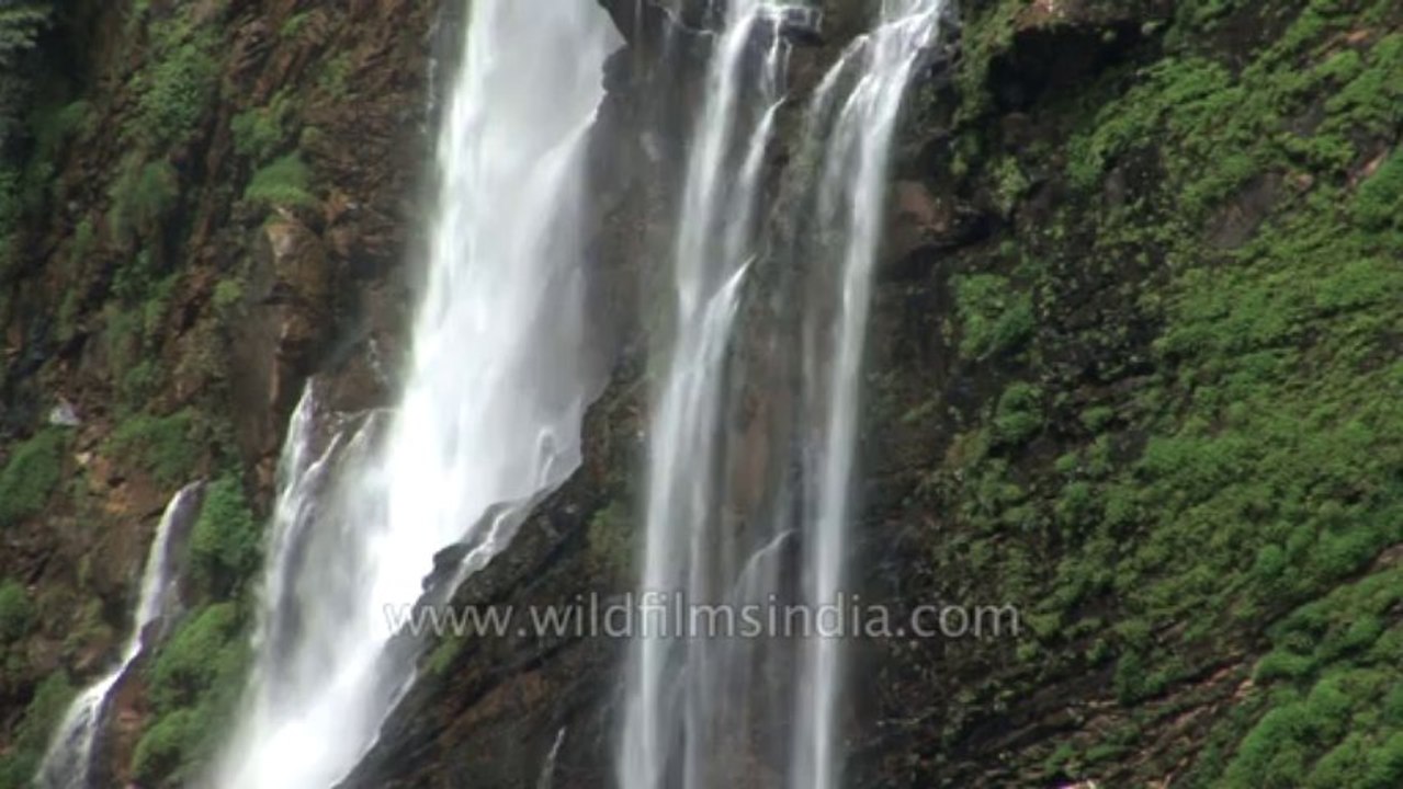 Jog falls-hdv-546-19