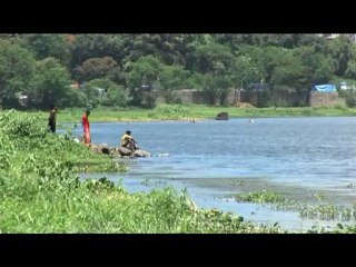 DVD-175-maharashtra-mumbai-11-5