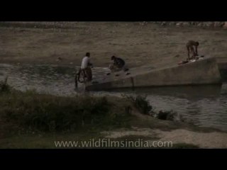 DVD-175-ne-arunachal-11-1