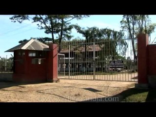 DVD-175-ne-teagarden-4-2