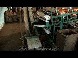 DVD-175-ne-teagarden-5-2