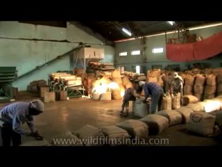 DVD-175-ne-teagarden-5-4