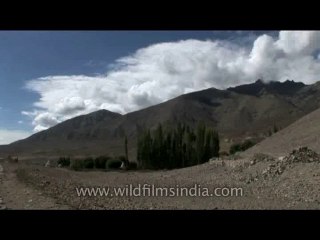 DVD-177-landscape-ladakh-5-3