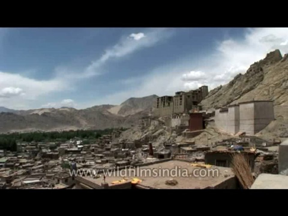 DVD-181-religion-buddhism-5-9