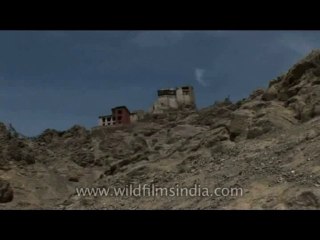 DVD-181-religion-buddhism-5-10