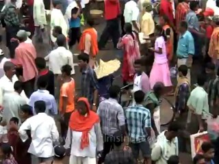 DVD-190-religion-jaggannath-6-1