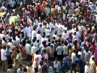 DVD-191-religion-jaggannath-22-1