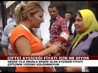 ÇİFTÇİ AYÇİÇEĞİ FİYATINA NE DİYOR