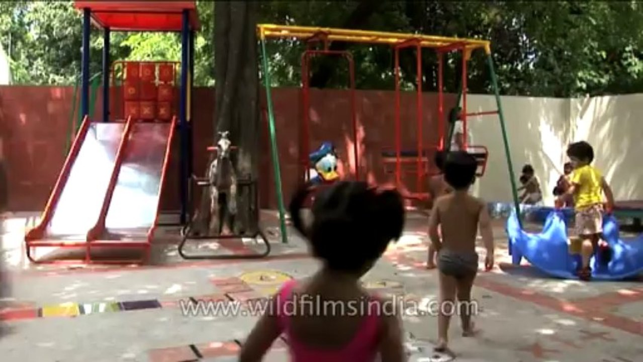 DVD-229-School-delhi-8