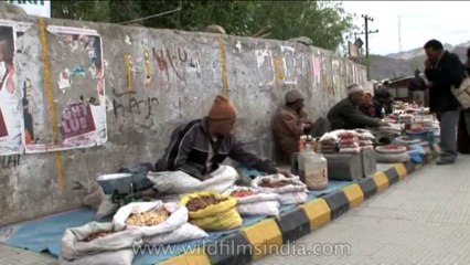 DVD-231-faces-Ladakh-1