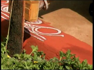 Endavour-paving-dvd-172-6