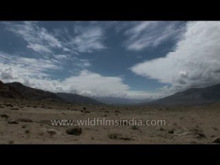 Ladakh-dvd-178-23