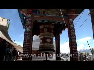 Ladakh-market-DVD-180-21