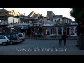 Ladakh-market-DVD-180-36
