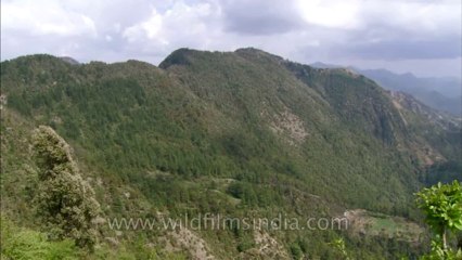 Landour-hdc-no name-25
