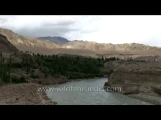 Landscape-ladakh-178-4