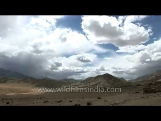 Landscape-ladakh-178-7