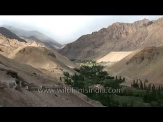 Landscape-ladakh-178-8