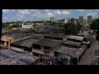 Mumbai-dvd-171-19