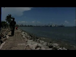 Mumbai-dvd-171-8